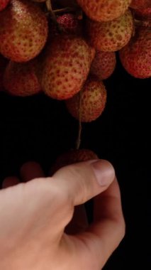 Dikey video. Parmaklar Kümeden Nazikçe Bir Lychee Çekiyor Siyah Arkaplan Karşısında Yakın Görünüm Dönen Sahnede Hareket ve Dokuları Gösterme