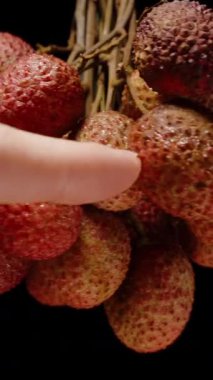 Dikey video. Parmakların Dokunuşu ve Nazikçe Dönen Lychees Bir Asılı Kümede Düşük Anahtar Işıklandırma ve Döngü Hareketi Altında Yakın Görünüm Siyah Arkaplan Karşısında