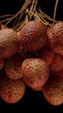 Dikey video. Olgun Lychees 'in Kapanışı Kara Arkaplan Karşısında Yumuşak Anahtar Altındaki Yumuşak Hareket ile Kusursuz Dönüşümlü Işıklandırma Dokusunu ve Nemli Yüzeyi