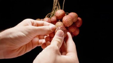 Çırpınan Olgun Lychee 'nin Açığa Çıkardığı Çemberin Önünde Yarı Şeffaf Eti Yumuşak Işık Altında Yakın Görünüm Siyah Arkaplanda Döngü Hareketinde