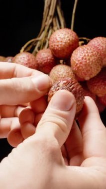 Dikey video. Çırpınan Olgun Lychee 'nin Açığa Çıkardığı Çemberin Önünde Yarı Şeffaf Eti Yumuşak Işık Altında Yakın Görünüm Siyah Arkaplanda Döngü Hareketinde