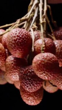 Dikey video. Güçlü Karşıtlık ve Görünür Gölgeler Sabit Stüdyo Kurulumunda Siyah Arkaplan Karşısında Sert Işığın Altında Olgun Lychees Kümesi