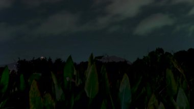 Gece Fırtınası Sırasındaki Dağ Tepelerinin Arkasındaki Tekrarlanan Yıldırımların Görüntüsü Dramatik Zaman Hızı Dizisinde Çekilen Tropikal Bir Ada