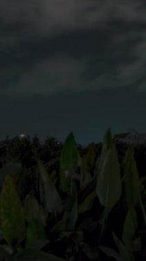 Dikey video. Gece Fırtınası Sırasındaki Dağ Tepelerinin Arkasındaki Tekrarlanan Yıldırımların Görüntüsü Dramatik Zaman Hızı Dizisinde Çekilen Tropikal Bir Ada