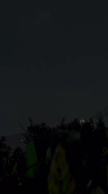 Dikey video. Çok Yıldırımlı Çarpışmalar Yüksek Gök Gürültüleri 'ni Işıklandırıyor Gece Tropikal bir adada Süreksiz Zaman Hızı Dizisinde