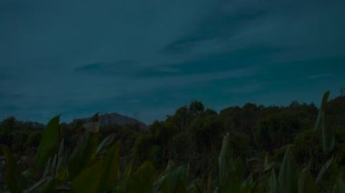 Parlak Sabah Güneş Işığı, Yoğun Bulutlar Kulesi 'nin arkasındaki gür Tropikal Orman' ı aydınlatmakta Geceyle Gündüz arasında pürüzsüz bir zamanda