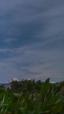 Dikey video. Siluetli Tepeler ve Peri Bulutları Gece 'den Sabah' a Kusursuz Bir Dönüşüm 'le Tropikal Bir Ormanın Üzerinden Şafak Sönerken Yıldızlar Yavaşça Söner