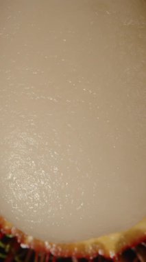 Dikey video. Yarı Rambutan, Makro Zoom Manzarasında Yavaşça Düşen Dikenli Kızıl Kabuk ve Dikenli Dikenli Siyah Dikenli Egzotik Meyve Konseptine Karşı Görünür