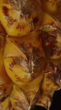 Dikey video. Makro Görünümünde Dönen Küçük Ananas Sarı Segmentler ve Yumuşak Işıkta Dokulu Derili Kahverengi Dikenli Egzotik Tropikal Meyve Konsepti Siyah Arkaplanına Karşı