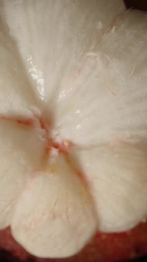 Dikey video. Beyaz Mangosteen 'in Yakın Çekimi Siyah Arkaplana Karşı Yavaş Hareket Ederken Zarifçe Havada Dönüyor