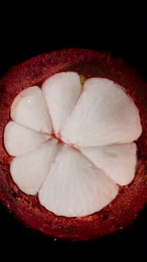 Dikey video. Havada Dönen Mangosteen Açık Makro Zoom Karşısındaki Siyah Tropikal Meyve Konseptine Karşı Kalın Kırmızı Kabuk İçinde Beyaz Sulu Bölümler Gösteriyor