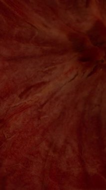 Dikey video. Boş Mangosteen Kabuğunun Genel Görünümü Yavaş Çekimde Dönerken İç Dokuları ve Boş Bölümleri Gösteriyor