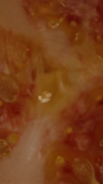 Dikey video. Boş Tutku Meyve İçinin Genel Görünümü Yavaş Çekimde Dönen Tohumlar ve Hafıza Dönüşü Kaydırma Efekti Oluştururken