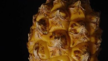 Tüm Küçük Ananas Dönüyor ve Düşüyor Makro Zoom Sarı desenli deri ve Siyah Meyve Kavramına Karşı Yeşil Taç Gösteriyor