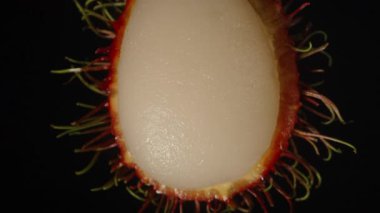 Yarı Rambutan, Makro Zoom Manzarasında Yavaşça Düşen Dikenli Kızıl Kabuk ve Dikenli Dikenli Siyah Dikenli Egzotik Meyve Konseptine Karşı Görünür