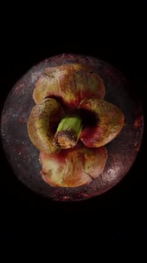 Dikey video. Havada Dönen Mangosteen Esmer Mor Deri ve Kahverengimsi Yeşil Şapka Macro Genel Görünümü ile Egzotik Tropikal Meyve Konsepti İçin Siyah Arkaplan Karşısında