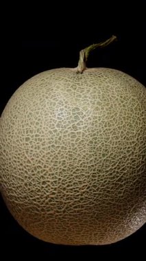 Dikey video. Tüm Kavun Döngü Animasyonunda Kusursuz Dönüyor Kara Arkaplanda Ayrıntılı Doku Görünümü Stüdyo Işık Sağlıklı Yiyecek ve Taze Meyve Konseptinde