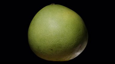 Stüdyo Işıklı Citrus Meyvesi ve Sağlıklı Yeme Konsepti tarafından vurgulanan Pürüzsüz Derisi ile Kara Arkaplanda İzole edilmiş Çember Animasyonunda Kusursuz Dönen Tüm Pomelo Meyvesi