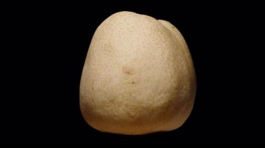 Tüm Asya Armudu Çemberde Kusursuz Dönüyor Kara Arkaplanda Yumuşak lşık Vurgulanan Yumuşak Doku Taze Meyve ve Sağlıklı Diyet Konseptiyle İzole Edilmiş