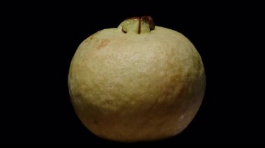 Tüm Guava Meyvesi Dönüşümlü Kara Arkaplanda Stüdyo Işık Altındaki Doğal Yüzey Dokusu Tropikal Meyve Organik Beslenme Konsepti ile İzole edilmiş