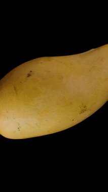 Dikey video. Pürüzsüz Sarı Deri ve Yumuşak Işık Yansıması Tropikal Meyve ve Yaz Tazeliği ile Siyah Arkaplan 'da Kusursuz Dönen Mango Görünümlü