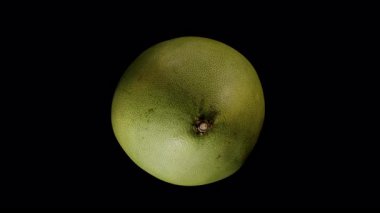 Pomelo, Stüdyo Işık Meyvesi ve Temiz Besin ile Siyah Arkaplan 'da İzole edilmiş Çemberde Kusursuz Dönen Pomelo Görünümlü