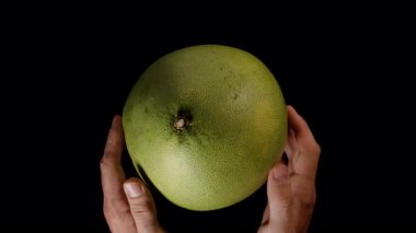Pürüzsüz Yeşil Deri ve Doğal Doku Karşısındaki Siyah Citrus Meyvesi ve Tazeliği ile Top View 'dan Tüm Pomelo' yu Tutan Eller