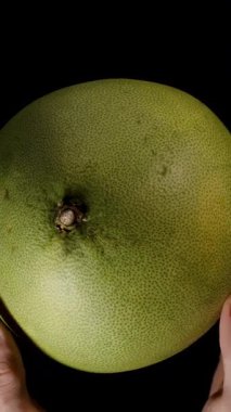 Dikey video. Pürüzsüz Yeşil Deri ve Doğal Doku Karşısındaki Siyah Citrus Meyvesi ve Tazeliği ile Top View 'dan Tüm Pomelo' yu Tutan Eller