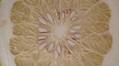 Pomelo Merkezi Dikensiz Dönüşümlü Citrus Dokusunda Sulu ve Beyaz Tohumları ve Sağlıklı Yiyecekleri Gösteriyor