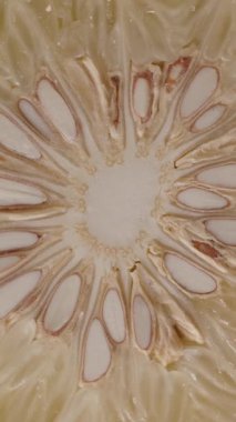 Dikey video. Pomelo Merkezi Dikensiz Dönüşümlü Citrus Dokusunda Sulu ve Beyaz Tohumları ve Sağlıklı Yiyecekleri Gösteriyor