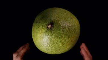 İki El Siyah Arkaplana Karşı Yakın Çekimde Kalın Yeşil Kabuğun İçindeki Sulu Soluk Bölmeleri Ortaya Çıkarmak İçin Bir Pomelo Açıyor