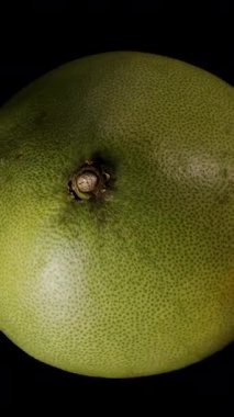 Dikey video. İki El Siyah Arkaplana Karşı Yakın Çekimde Kalın Yeşil Kabuğun İçindeki Sulu Soluk Bölmeleri Ortaya Çıkarmak İçin Bir Pomelo Açıyor