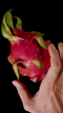 Dikey video. Bir El Tutma ve Kırpma Ejder Meyvesi Siyah Arkaplana Karşı Siyah Arkaplanda Siyah Deri İçinde Siyah Tohumları Açığa Çıkarmak İçin