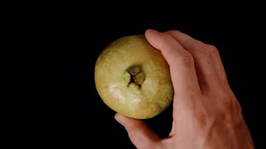 Bir El Tutma Guava Yarısı Kırmızı Sulu İçini ve Siyah Arkaplan Karşısında Tohumları Göstermek İçin Üstü Kaldırılmış