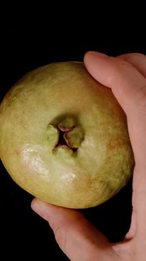 Dikey video. Bir El Tutma Guava Yarısı Kırmızı Sulu İçini ve Siyah Arkaplan Karşısında Tohumları Göstermek İçin Üstü Kaldırılmış