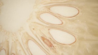 Makro Yakın Çekim 'de Dönen Pomelo Beyaz Et ve Büyük Tohumları Yumuşak Şeffaf İpliklerle Kalın Sulu Segmentlere Gömecek