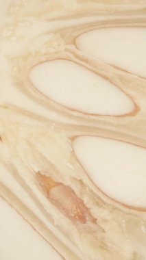 Dikey video. Makro Yakın Çekim 'de Dönen Pomelo Beyaz Et ve Büyük Tohumları Yumuşak Şeffaf İpliklerle Kalın Sulu Segmentlere Gömecek