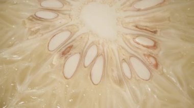 Pomelo Çapraz Bölümü Macro Görünümü Solgun Sulu Segmentlerin Simetrik Düzenlemesini ve Şeffaf İpliklerle çevrili Büyük Beyaz Tohumları Gösteriyor