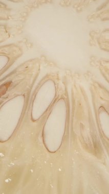 Dikey video. Pomelo Çapraz Bölümü Macro Görünümü Solgun Sulu Segmentlerin Simetrik Düzenlemesini ve Şeffaf İpliklerle çevrili Büyük Beyaz Tohumları Gösteriyor