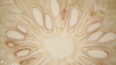 Kesilmiş Pomelo 'nun Dolly Kaydırma Yakından Düşüşü ve Açık Soluk Segmentleri ve Temiz Çembersel Simetriye sahip Merkezi Tohum Kümesi