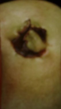 Dikey video. Kamera yarım Guavas boyunca kayar Pembe Sulu Etler ve Tüm Guava Konumu Yakın plan Görünümünde Pembe Deriyi Ortaya Çıkarır