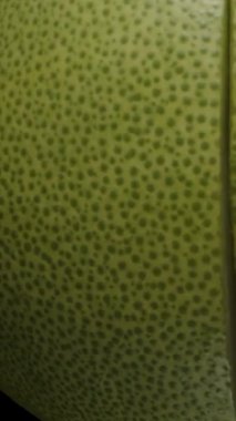 Dikey video. Kamera Merkeze Kayarken Pomelo 'nun İkiye Bölünmesi Makro Yakın Çekim ve Dinamik Hareketle Solgun Parçaları ve Fibröz Dokuları Açıyor