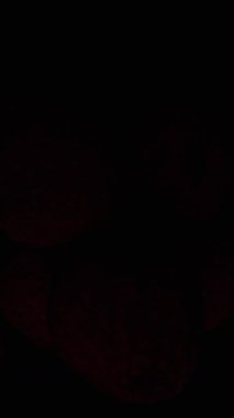 Dikey video. Bir grup Litchis yavaş yavaş karanlıktan çıkıyor Yapraklar Sinematik Işıkta