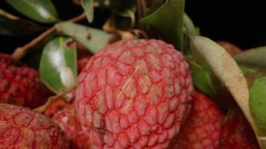 Siyah Arkaplan 'a Karşı Yakın Dolly Kaydırma Çekiminde Çevrelenmiş Yeşil Yapraklarla çevrili Sert Derili Olgun Kırmızı Lychee Ayrıntılı Dokuları Yakalıyor