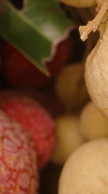 Dikey video. Taze Lychee ve Longan Meyveleri Doku ve Renk Kontrastı Kontrastlı Kümelenmiş, Dolly Kaydırma Hareketi Kullanılarak Yakından Çekildi