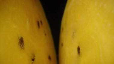 Sarı Karpuzun Yakın Çekim Bölümü Sulu Sarı Et ve Koyu Tohumlar üzerine yoğunlaşarak Dolly Kaydırma Hareketiyle Boşluğun İçinden Çekildi
