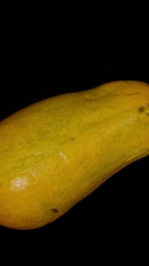 Dikey video. Tüm Olgun Papaya Genel Açı 'dan Kara Arkaplanda Kusursuz Dönüyor, Pürüzsüz Doğal Kusurları Olan Sarı Deriyi Gösteriyor