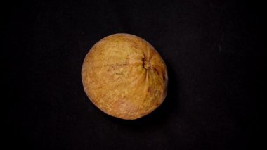 Olgun Santol Meyve Dönüşü Kara Arkaplan Karşısında Görünüş, Doğal Doku ve İnce Yüzey Kusurları, Genel Açı, Döngü Efekti, Egzotik Meyve Konsepti