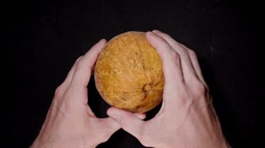 Olgun Santol 'u ikiye bölen İki El Siyah Arkaplan' a karşı Beyaz Pullu Eti Açığa Çıkartıyor, Üst Açı, Doku ve İç Detaylar, Egzotik Meyve Konsepti