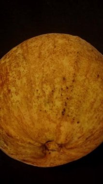 Dikey video. Spinning Santol Being Spinning Santol Being Spinted split by Hands Revealing Juicy White Pulp Inside, Capved Mid-Motion with Overhead View and Blur Effect, Exotic Fruit Concept